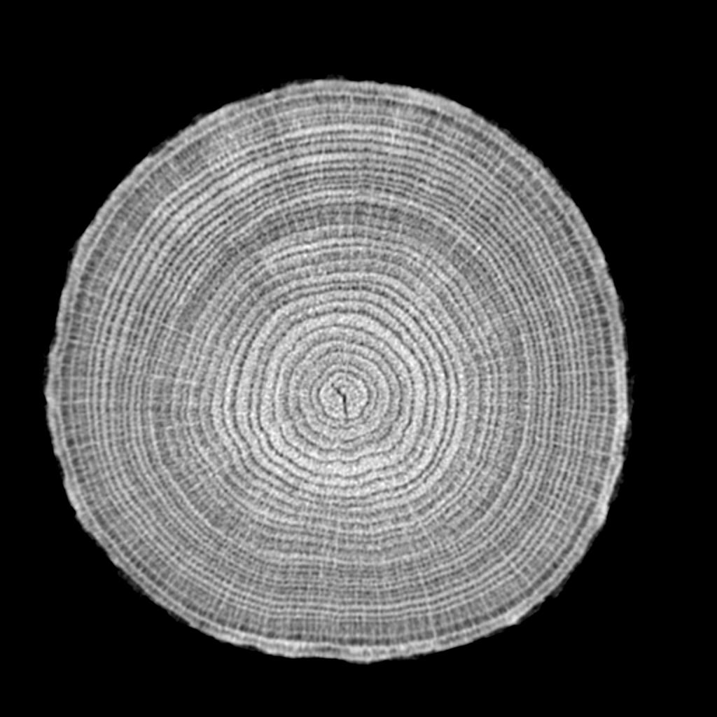Scanner à rayons X chêne