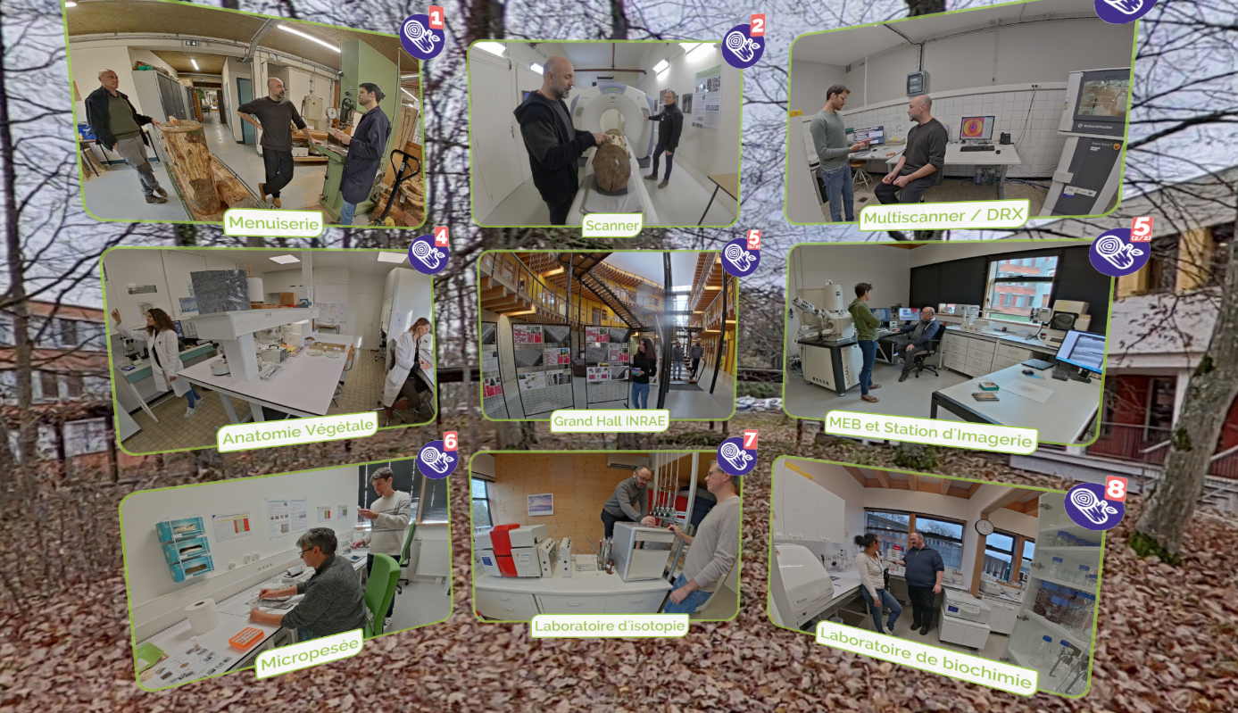 Visite virtuelle