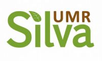 Logo silva jpag