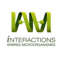 Logo IAM