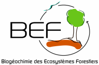 LOGO BEF