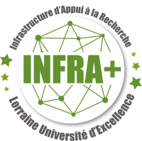 Logo infra + starlue